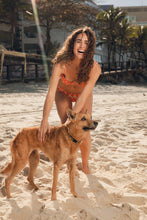 Load image into Gallery viewer, Image 14: Rio De Sol Bas Bottom Maracai Essential