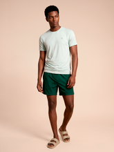 Load image into Gallery viewer, Model Front: Uv Line T-Shirt Pour Homme T-Shirt Uvpro Masc Light Green Upf50+
