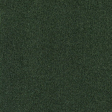 Load image into Gallery viewer, Croc New Vegas
