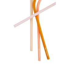 Load image into Gallery viewer, Model Back: Sunnylife Pique-Nique M Straws Multi S4
